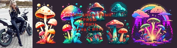 стафф Михайлов