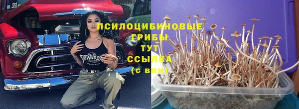 дживик Наволоки