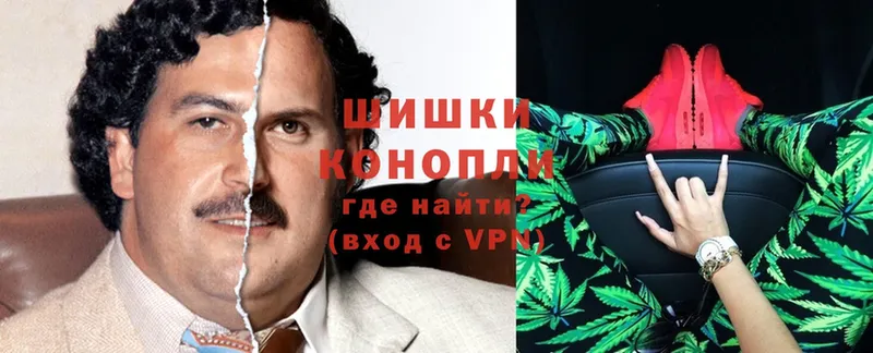 Каннабис OG Kush  Осташков 